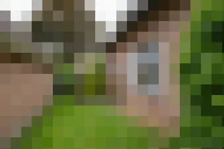 Erve Effinck 17 Enter thumbnail 39
