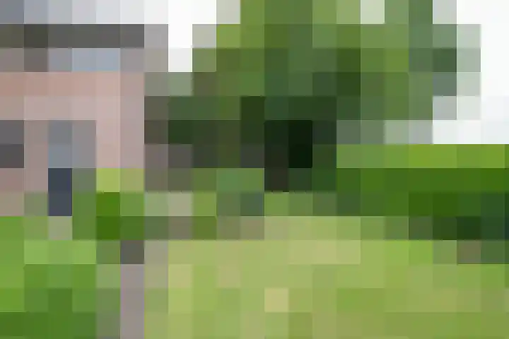 Erve Effinck 17 Enter thumbnail 42