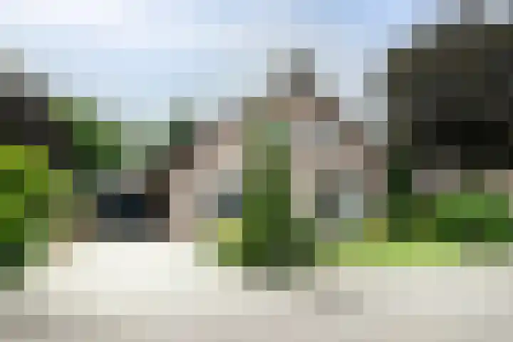 Erve Effinck 17 Enter thumbnail 51