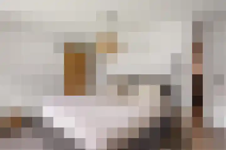 Erve Hams 12 Oldenzaal thumbnail 13