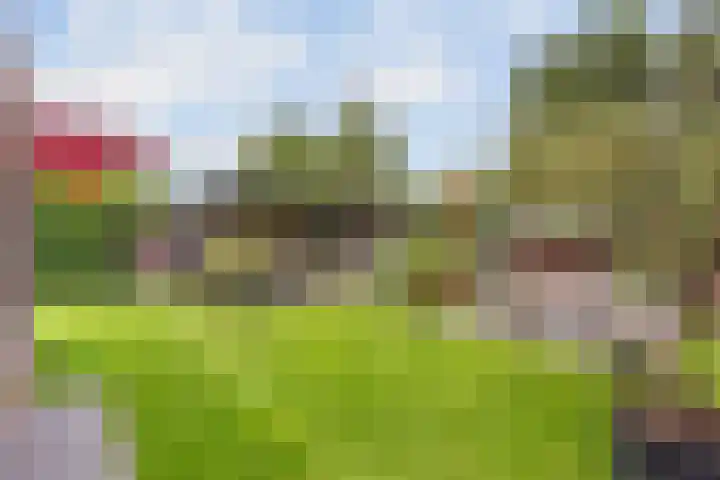 Erve Hams 12 Oldenzaal thumbnail 20
