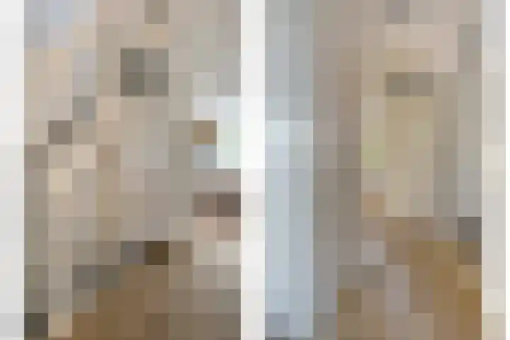 Erve Ruitminck 6 Hardenberg thumbnail 17