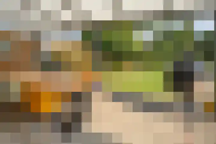 Erve Ruitminck 6 Hardenberg thumbnail 30
