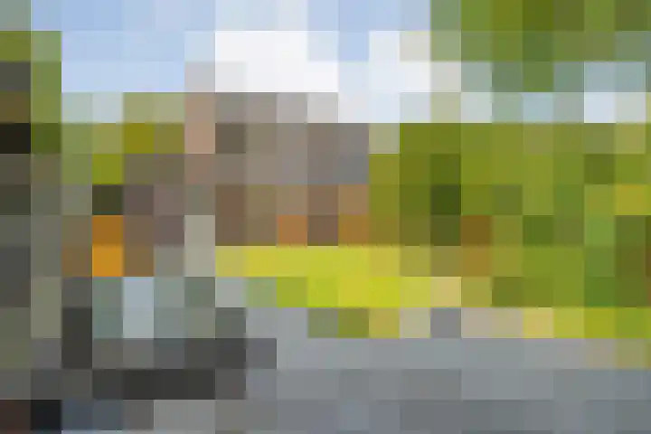 Erve Ruitminck 6 Hardenberg thumbnail 32