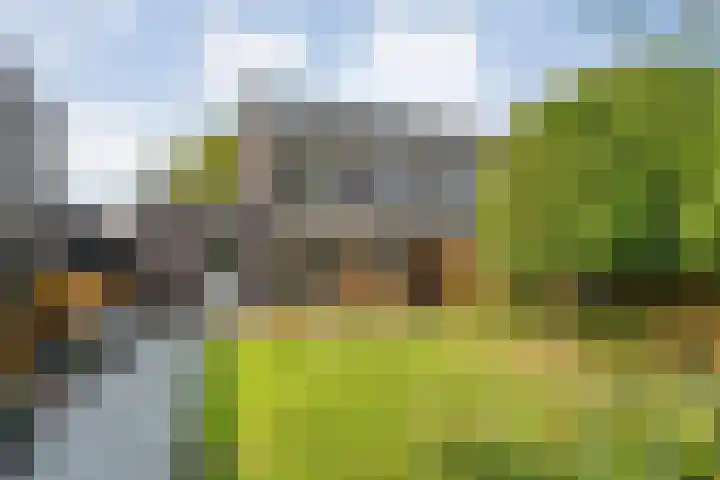 Erve Ruitminck 6 Hardenberg thumbnail 34
