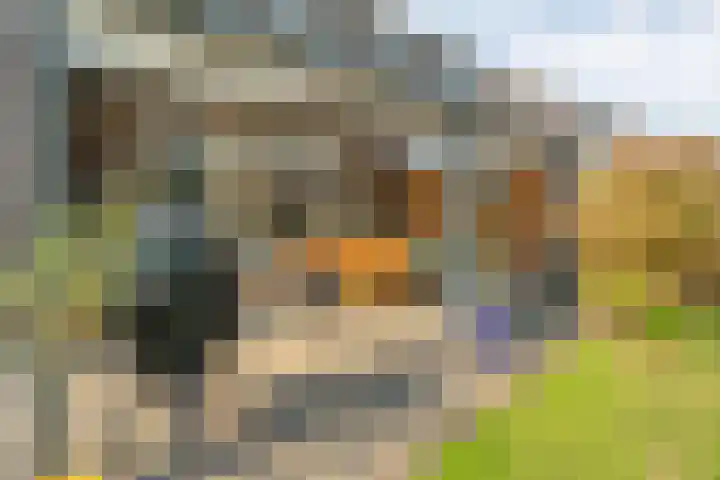 Erve Ruitminck 6 Hardenberg thumbnail 37