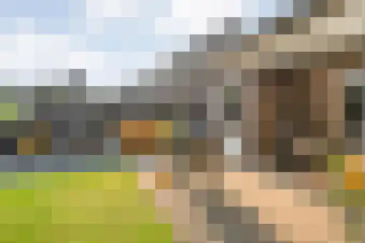 Erve Ruitminck 6 Hardenberg thumbnail 38