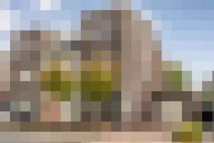 Erve Ruitminck 6 Hardenberg thumbnail 4