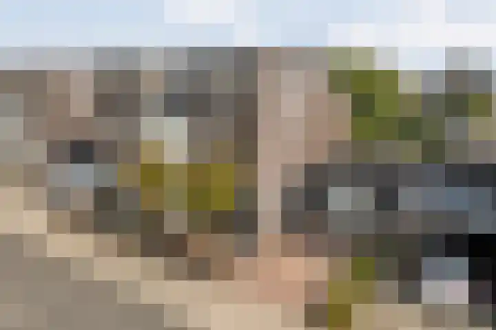 Erve Ruitminck 6 Hardenberg thumbnail 41