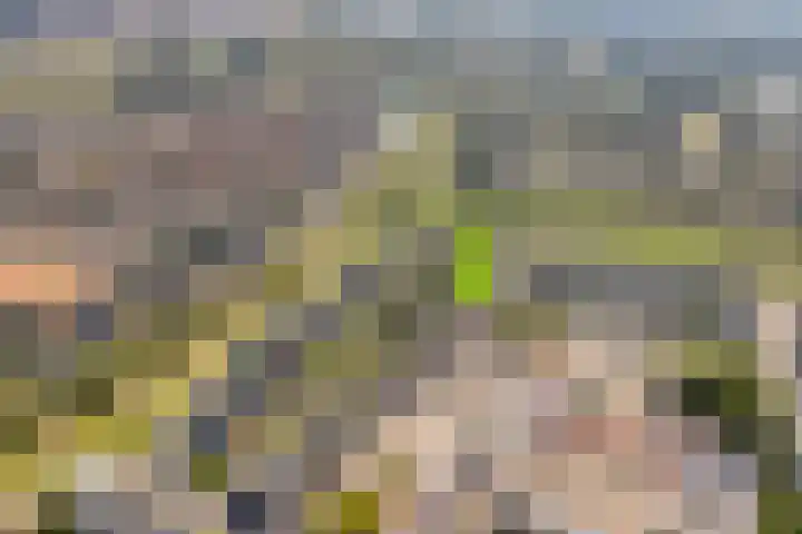 Erve Ruitminck 6 Hardenberg thumbnail 46