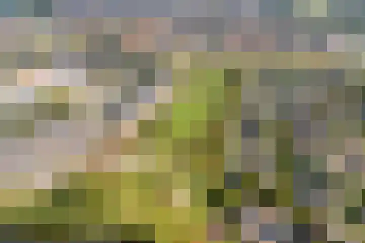 Erve Ruitminck 6 Hardenberg thumbnail 47