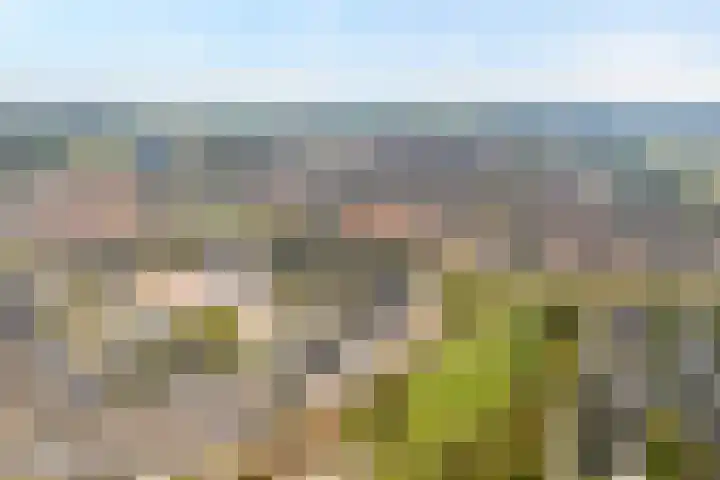 Erve Ruitminck 6 Hardenberg thumbnail 48