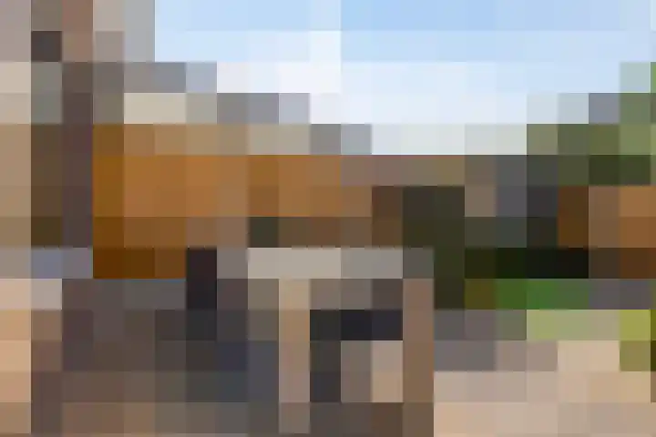 Erve Stegeman 21 Oldenzaal thumbnail 25