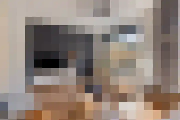 Erve Stegeman 21 Oldenzaal thumbnail 4