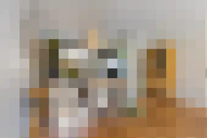 Erve Stegeman 21 Oldenzaal thumbnail 8