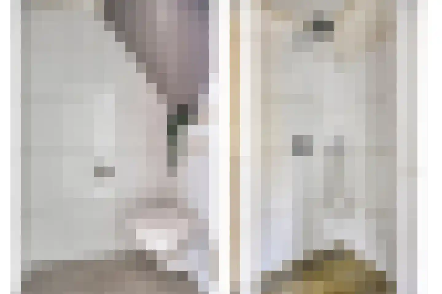 Erve Stroomboer 13 Borne thumbnail 34