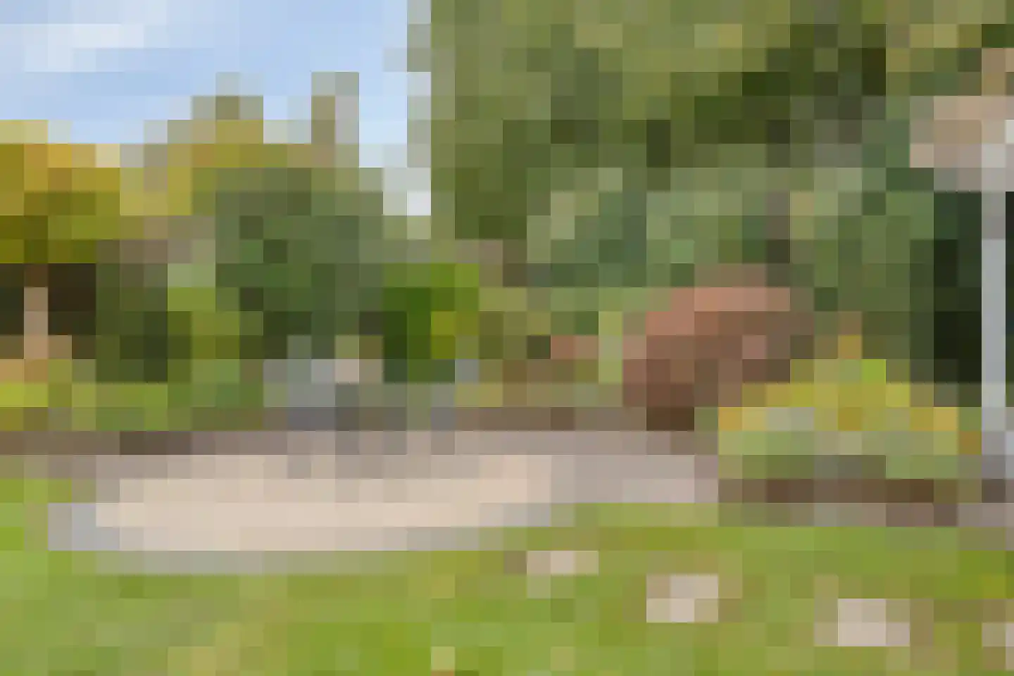 Erve Stroomboer 13 Borne thumbnail 53
