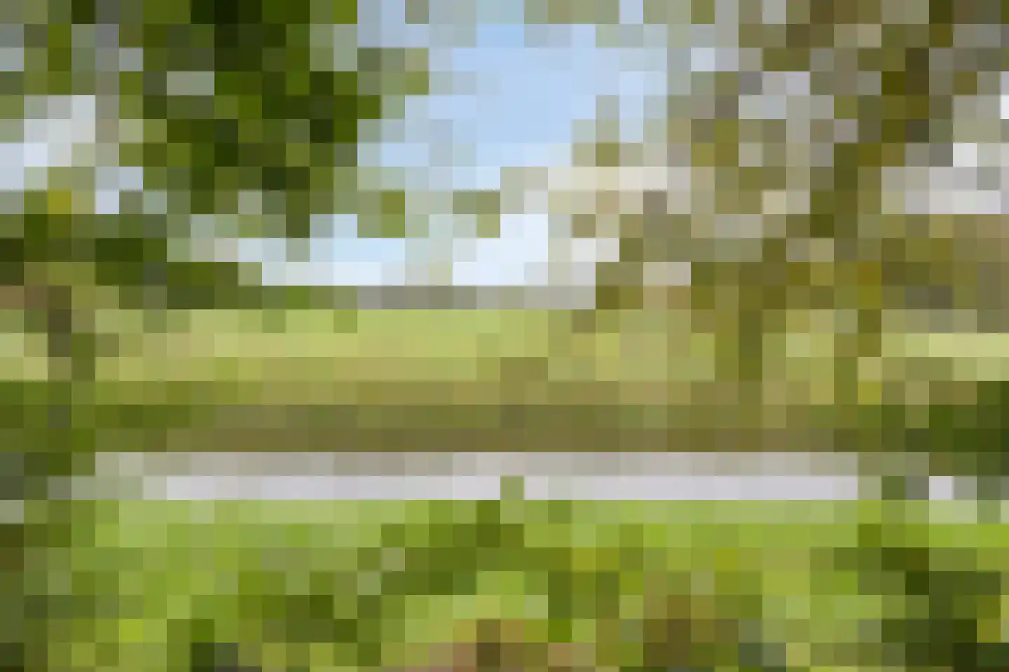 Erve Stroomboer 13 Borne thumbnail 56