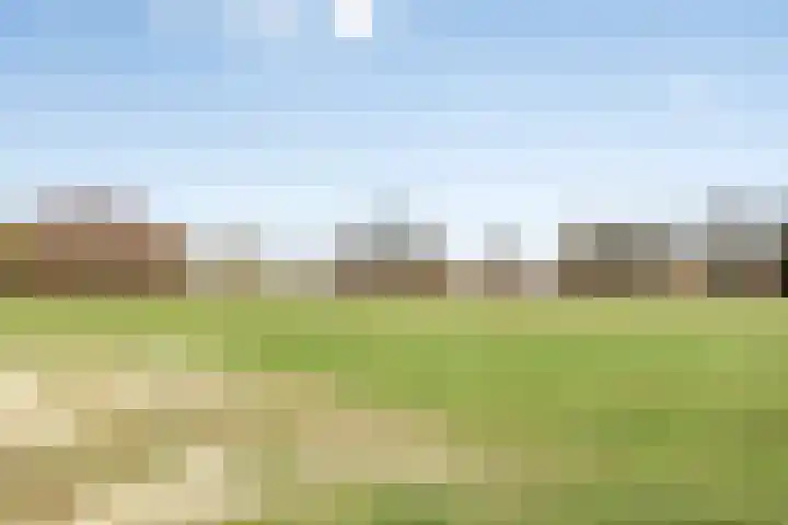 Erve Wolbert 13 Oldenzaal thumbnail 28