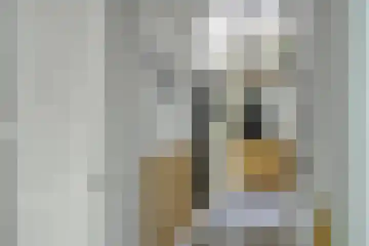 Erveweg 7 Welsum thumbnail 11