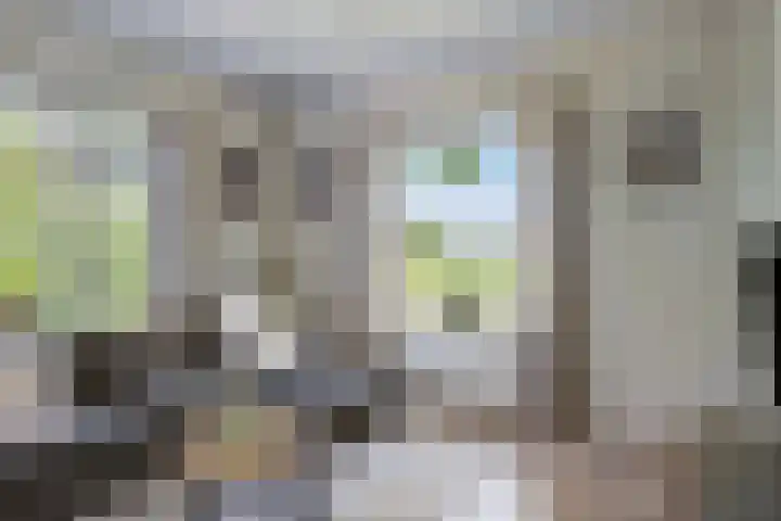 Erveweg 7 Welsum thumbnail 13