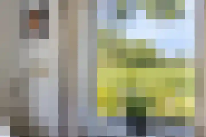 Erveweg 7 Welsum thumbnail 16