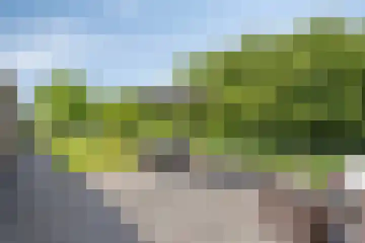 Erveweg 7 Welsum thumbnail 28