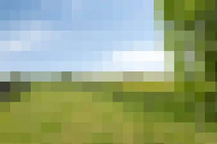 Erveweg 7 Welsum thumbnail 34