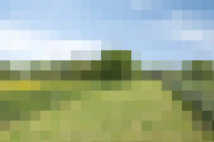 Erveweg 7 Welsum thumbnail 35