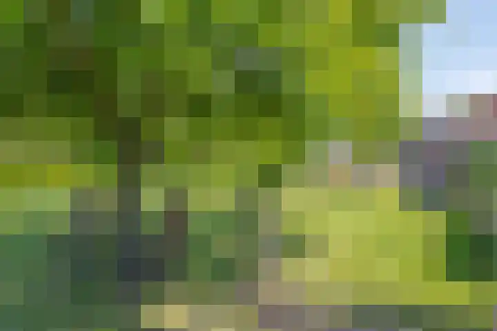 Erveweg 7 Welsum thumbnail 38
