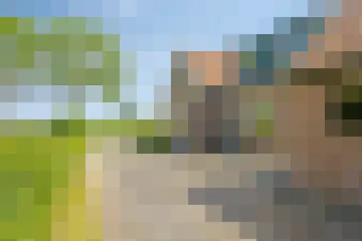 Erveweg 7 Welsum thumbnail 39
