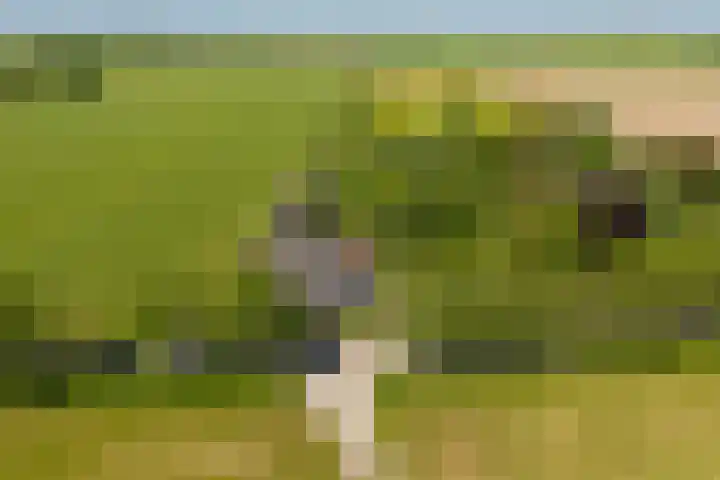 Erveweg 7 Welsum thumbnail 43