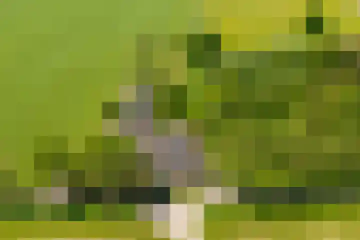 Erveweg 7 Welsum thumbnail 49