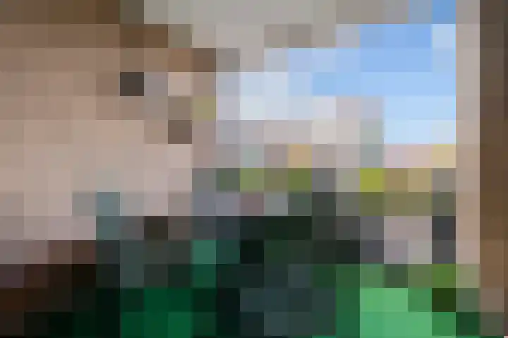 Es 37 f Neede thumbnail 11