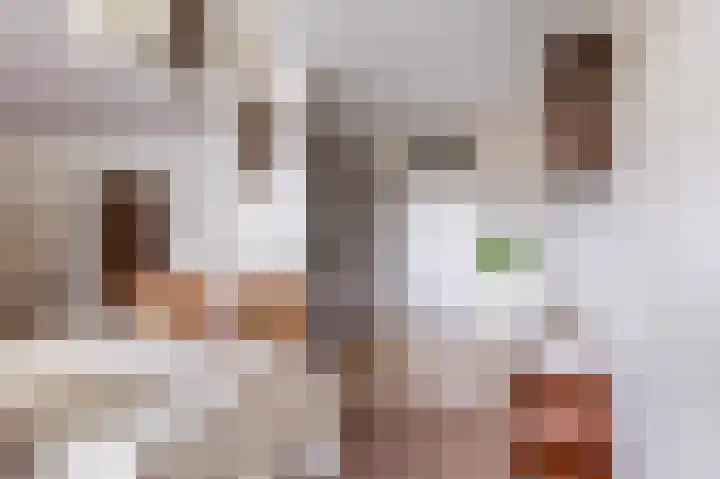 Es 37 f Neede thumbnail 14