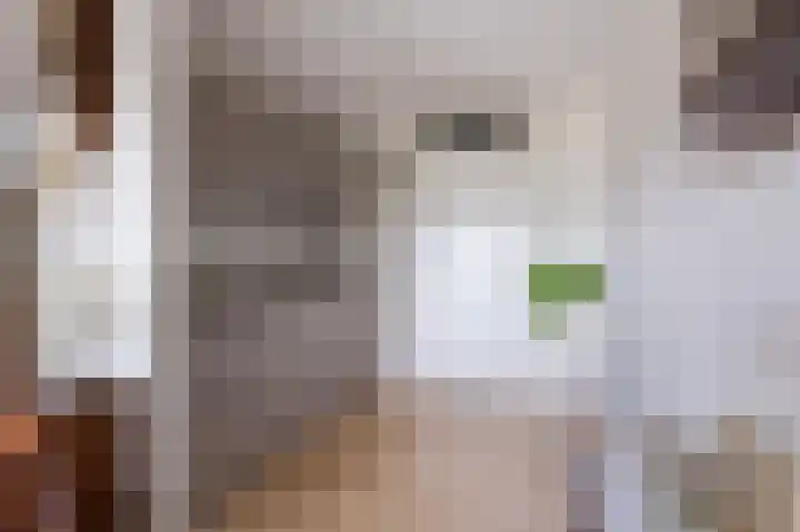 Es 37 f Neede thumbnail 15