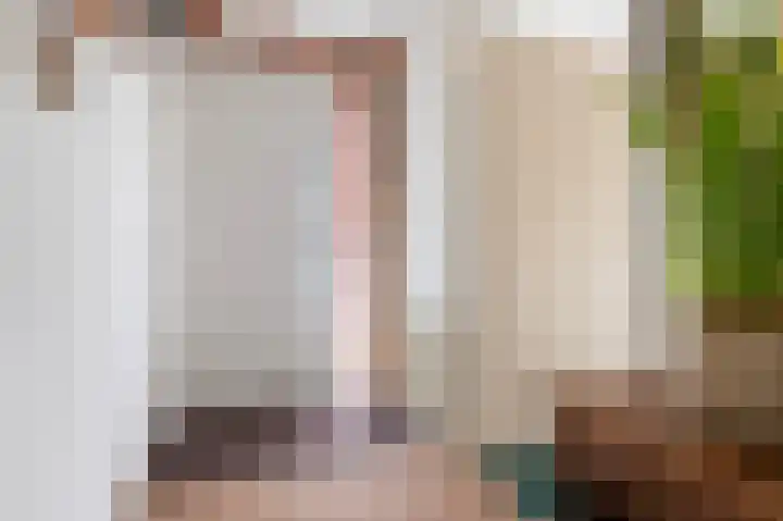 Es 37 f Neede foto 2