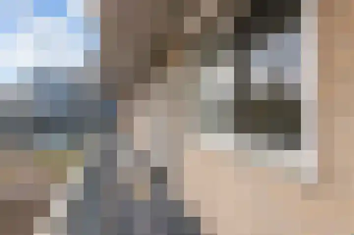 Es 37 f Neede thumbnail 28