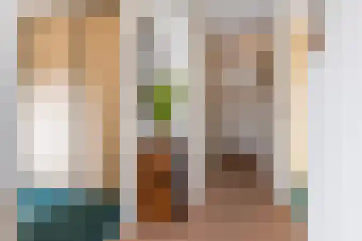 Es 37 f Neede foto 3