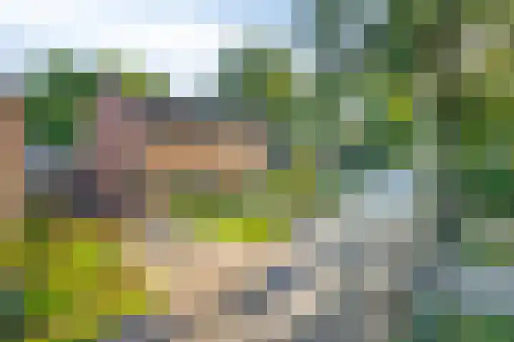 Esakkers 5 Annen thumbnail 10