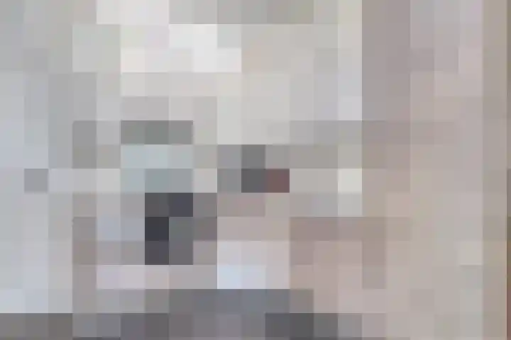 Esakkers 5 Annen thumbnail 23