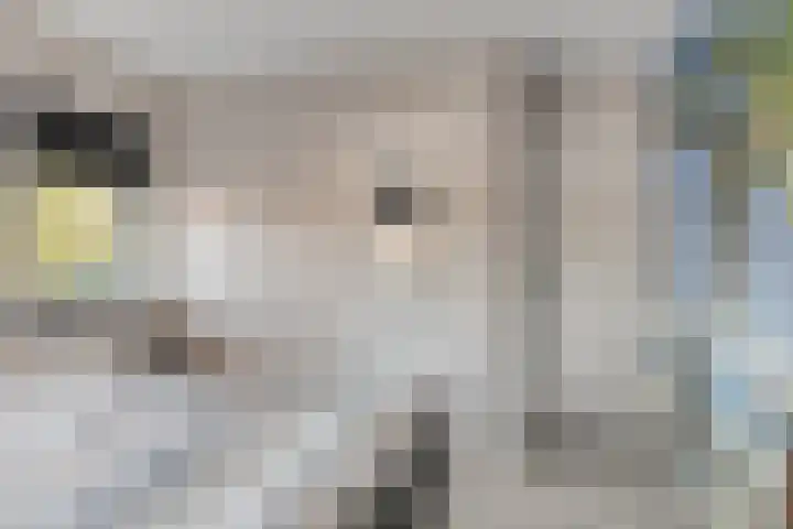 Esakkers 5 Annen thumbnail 31
