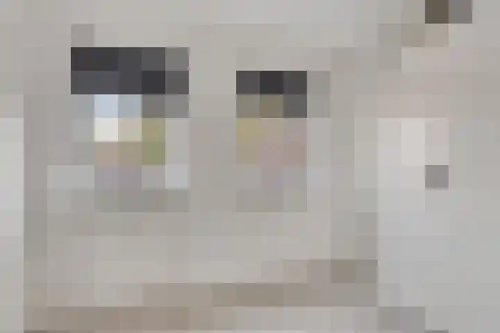 Esakkers 5 Annen thumbnail 35
