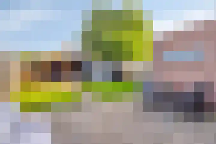 Esakkers 5 Annen thumbnail 38