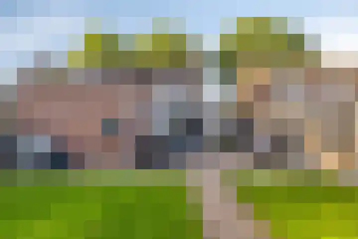 Esakkers 5 Annen thumbnail 42