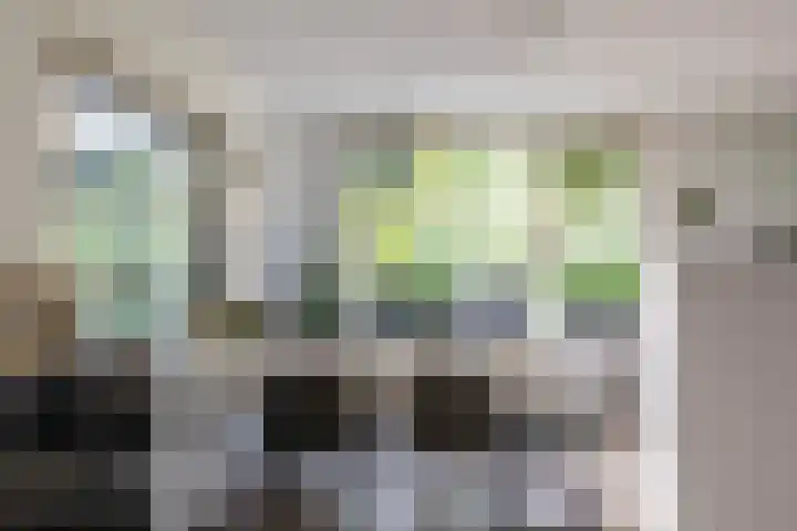 Esakkers 6 Annen thumbnail 18