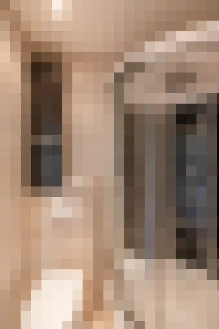 Esakkers 6 Annen thumbnail 22