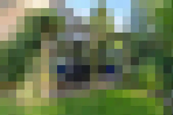 Esakkers 6 Annen thumbnail 34