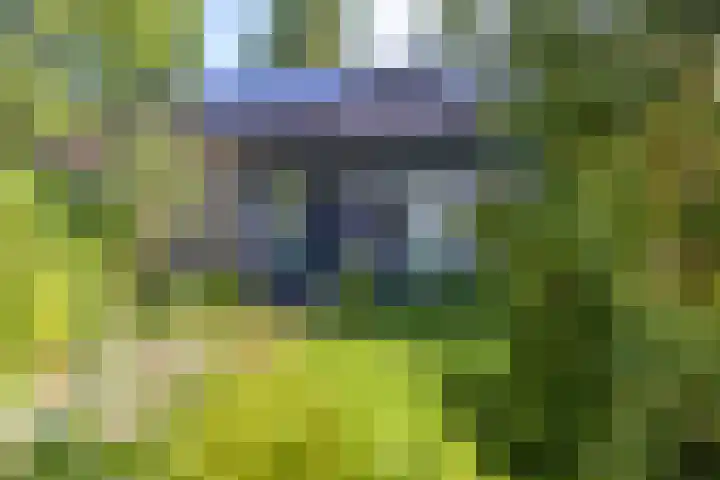Esakkers 6 Annen thumbnail 35