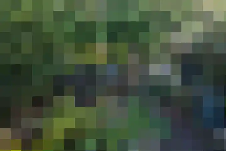 Esakkers 6 Annen thumbnail 37